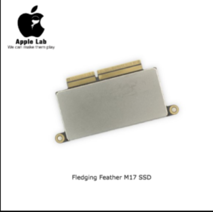Fledging Feather M17 SSD